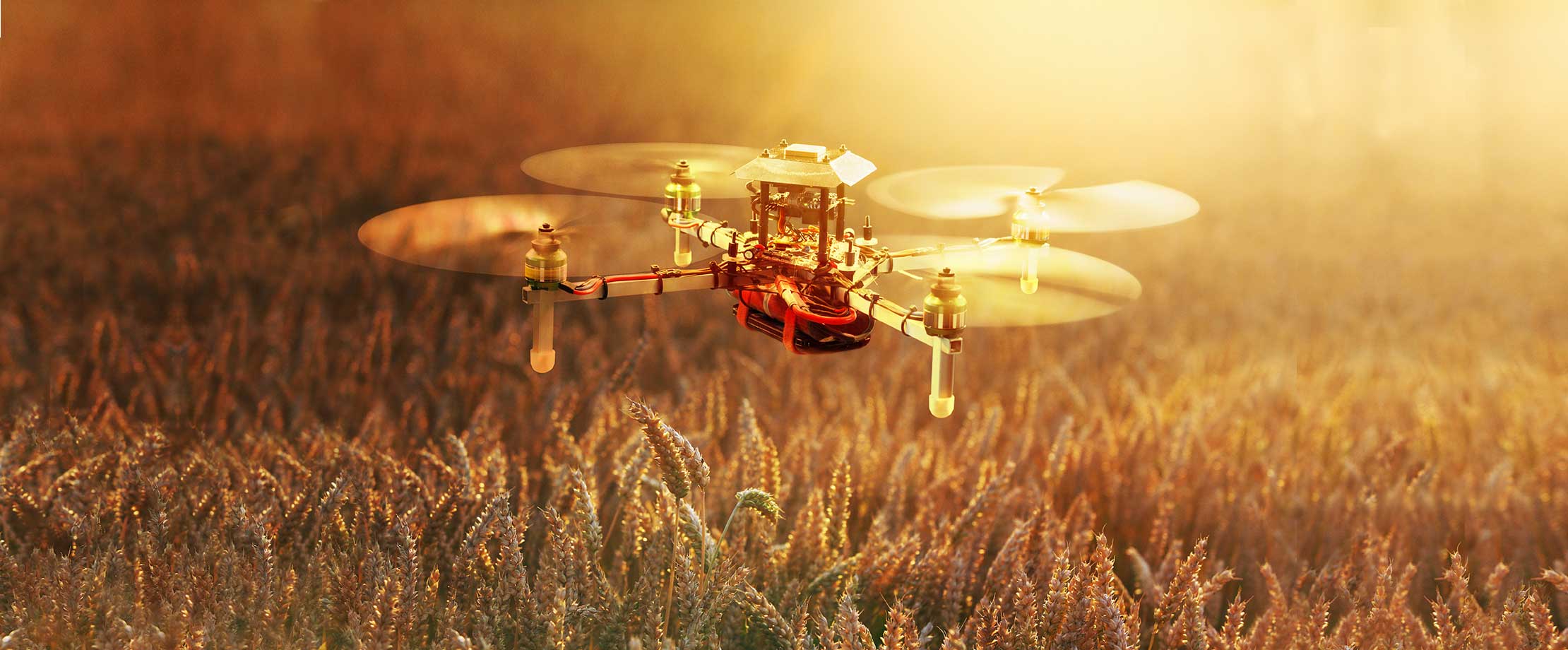 Eine Drohne fliegt über einer Wiese, im Hintergrund geht die Sonne unter.