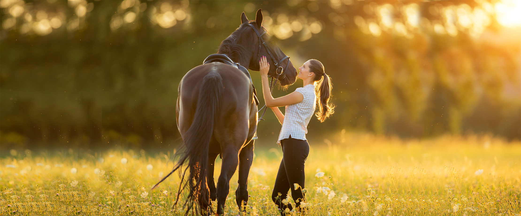 Eine junge Frau steht am frühen Abend mit ihrem schwarzen Pferd auf einer Wiese. 